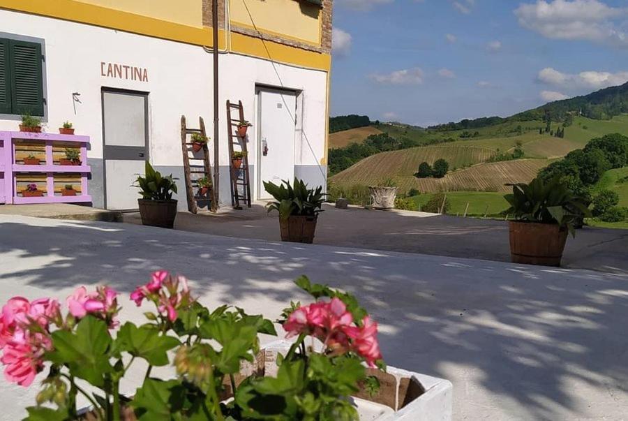 Cascina Angelina Villa Casteggio Bagian luar foto