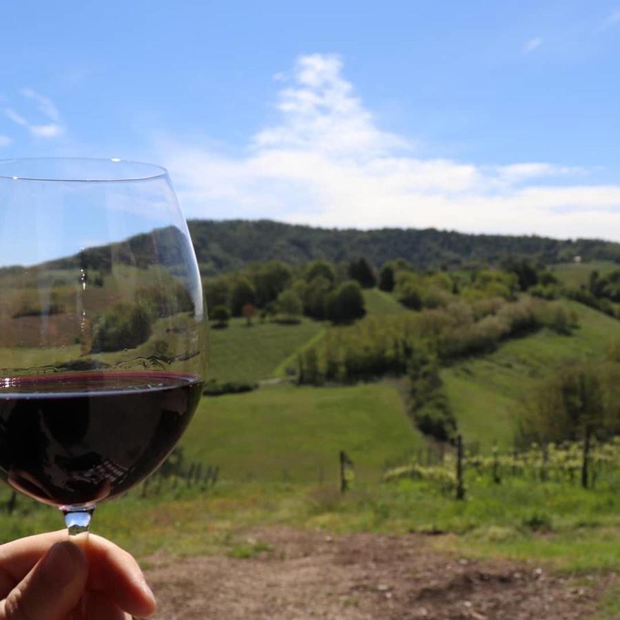 Cascina Angelina Villa Casteggio Bagian luar foto